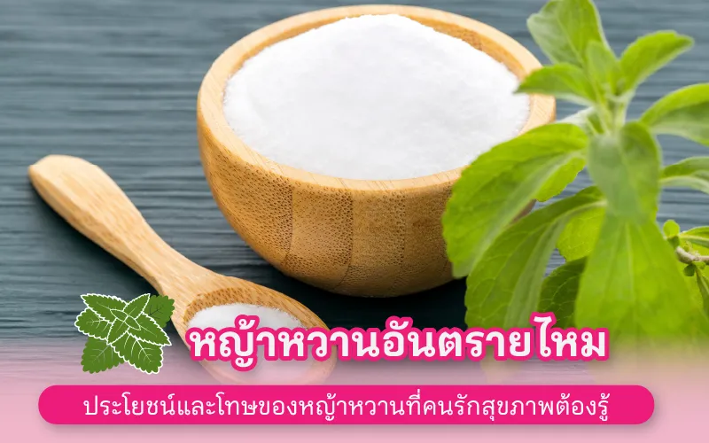 หญ้าหวานอันตรายไหม  ประโยชน์และโทษของหญ้าหวานที่คนรักสุขภาพต้องรู้ 02